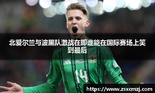 北爱尔兰与波黑队激战在即谁能在国际赛场上笑到最后